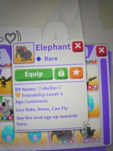 Nfr neon fly - fly, elephant