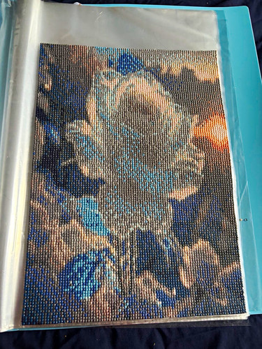 Diamond painting canvas - diamond,